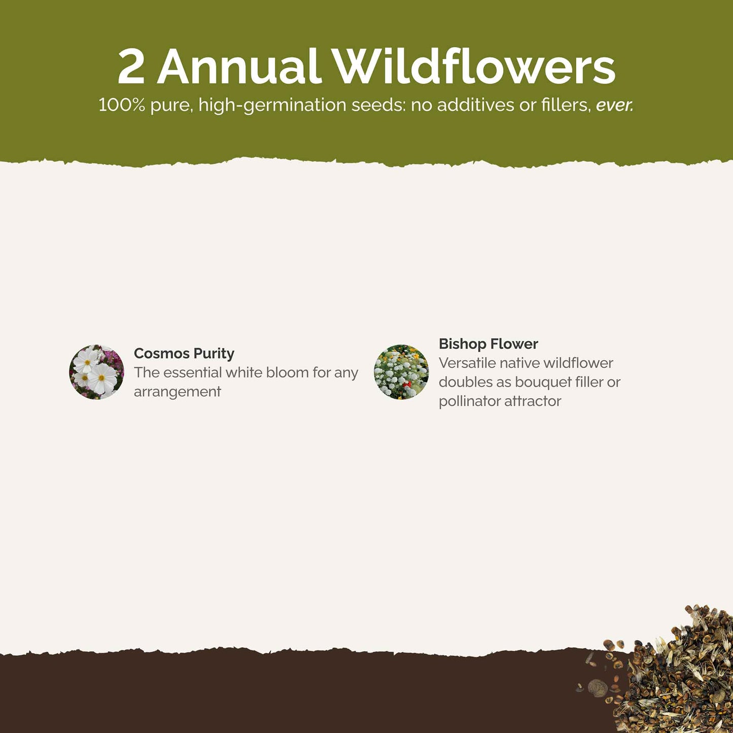 List of flower species and seeds included in the Wildflower Seed Mix.