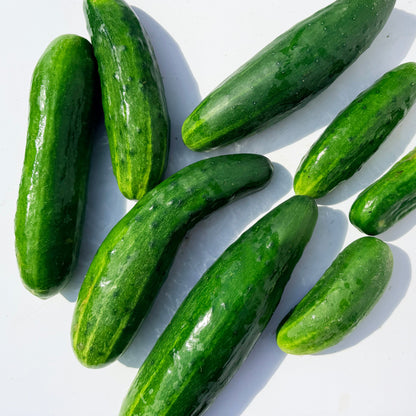 Muncher Cucumber