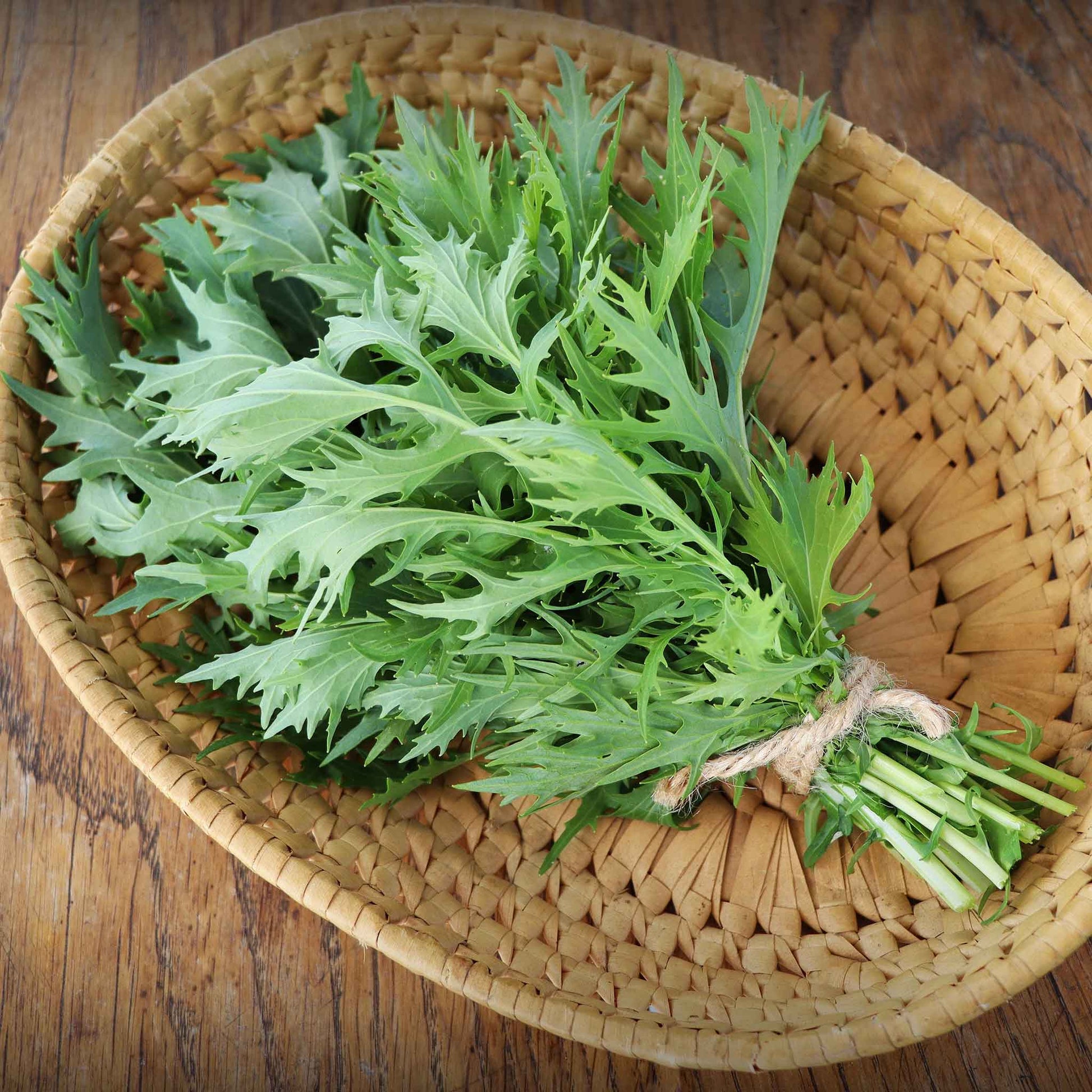 A vibrant, close-up shot of fresh Mizuna mustard greens, showcasing their jagged leaves and bright green color.