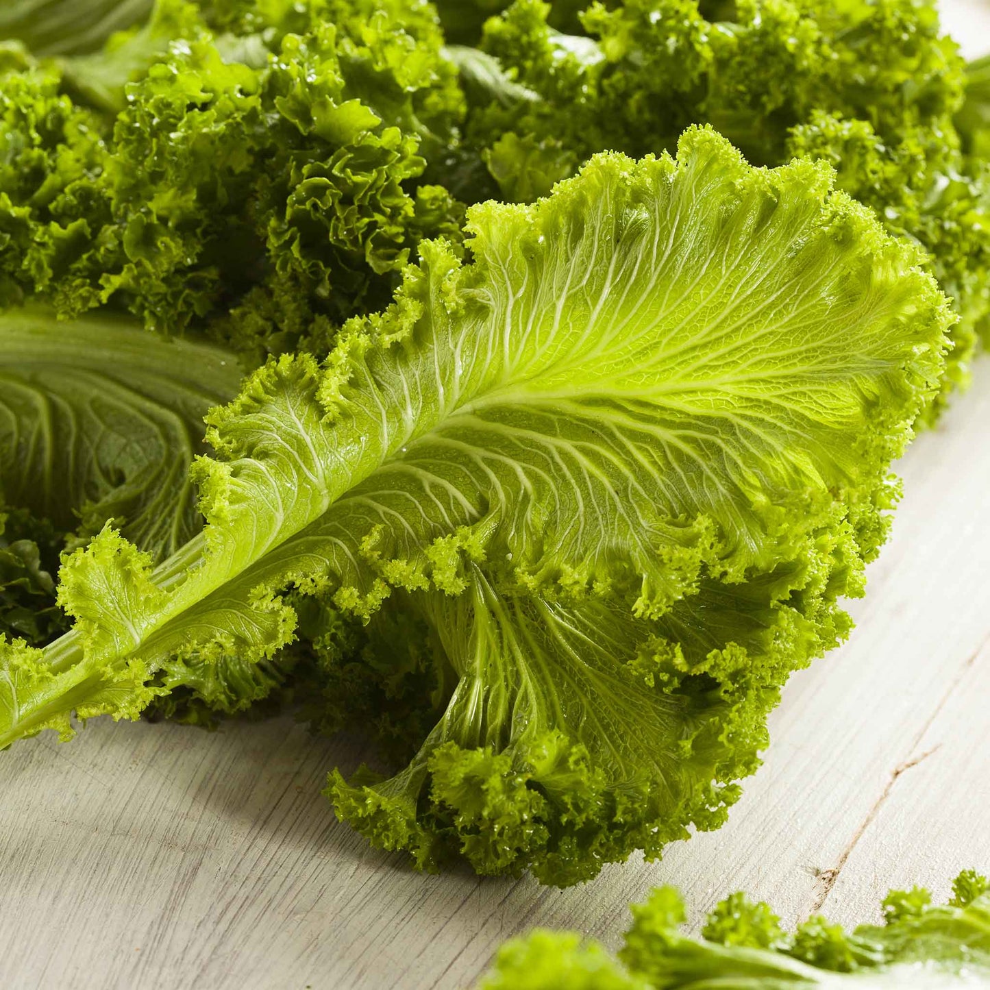 A close-up of an Old Fashion mustard leaf showing off its crinkled edges.