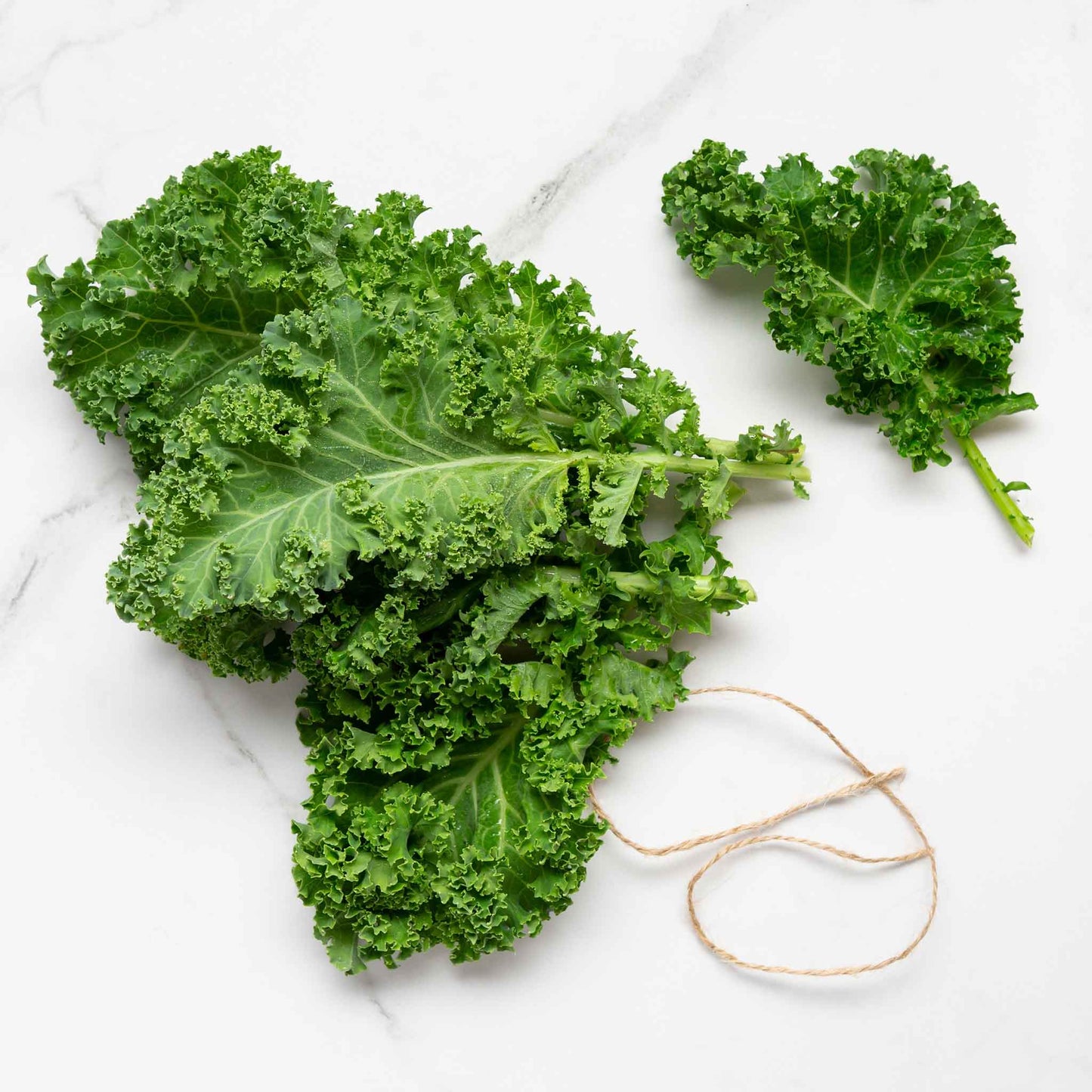 A close-up shot of Southern Giant mustard leaves with ruffled edges, showing vibrant color and texture.