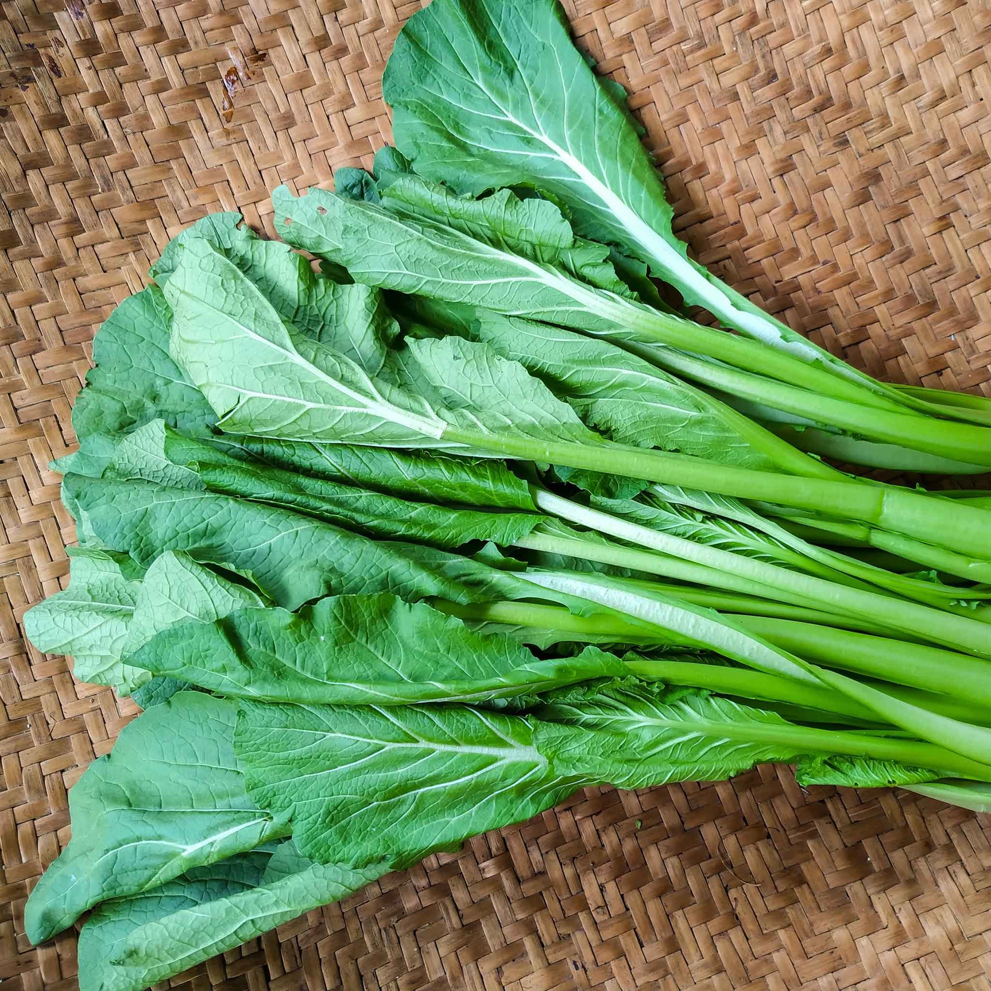 A close-up shot of a pile of Tendergreen mustard leaves harvested on a dark background.
