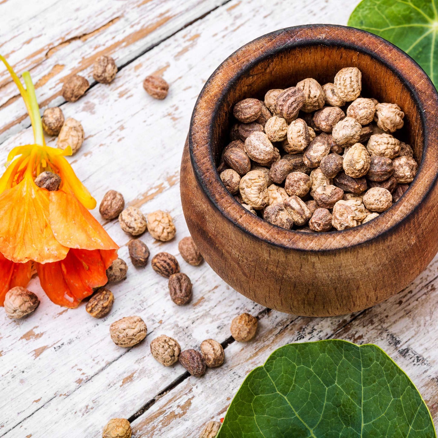 Nasturtium seeds in a wooden bowl on a wooden table.