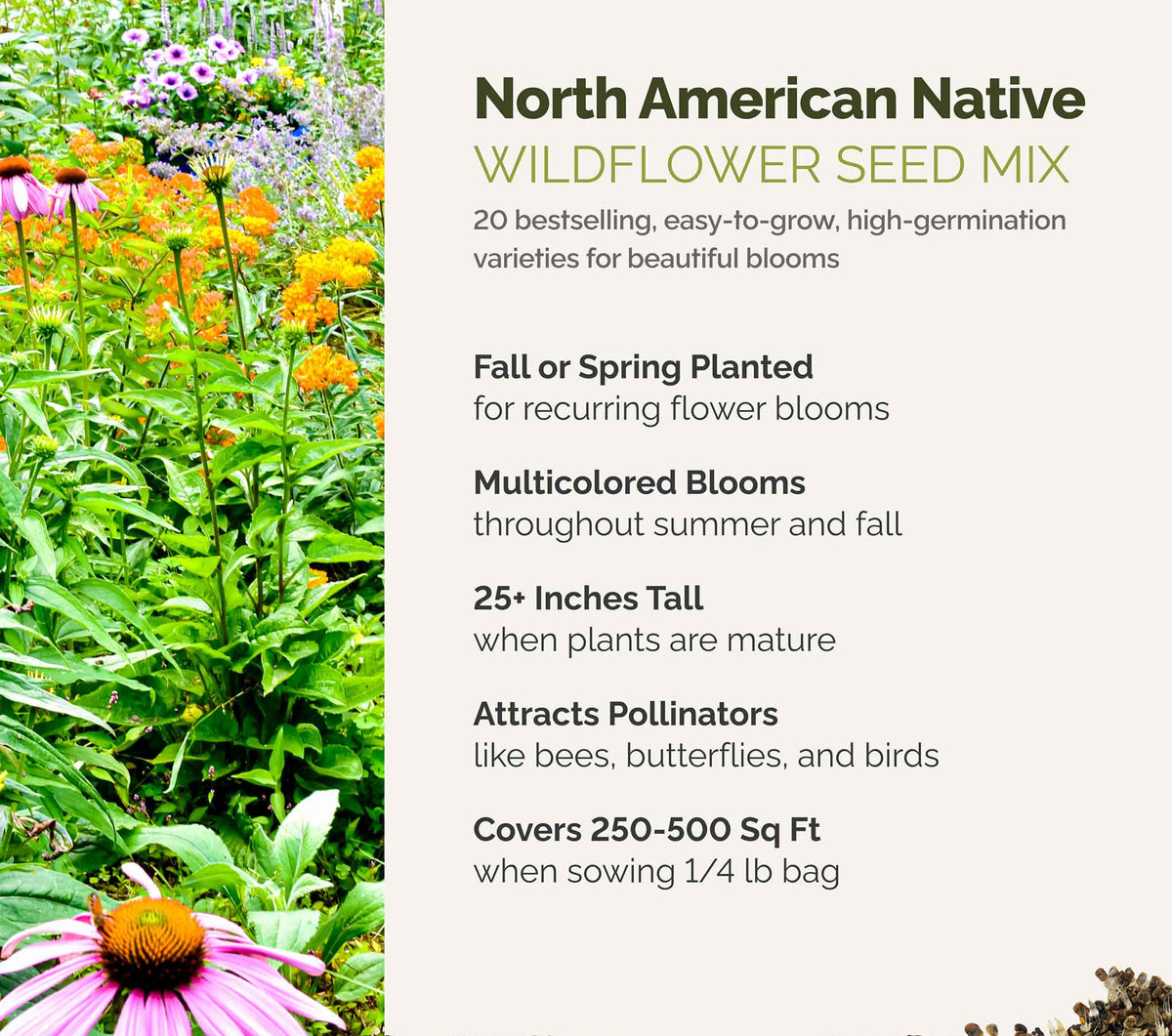 A visual overview of the wildflower seed mix, showcasing expected floral blooms.