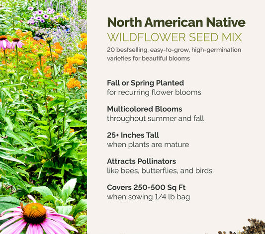 A visual overview of the wildflower seed mix, showcasing expected floral blooms.