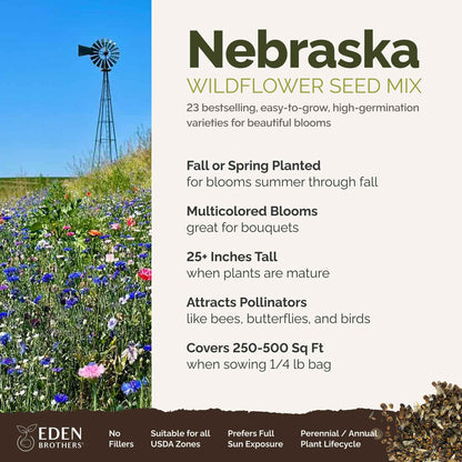 A visual overview of the wildflower seed mix, showcasing expected floral blooms.