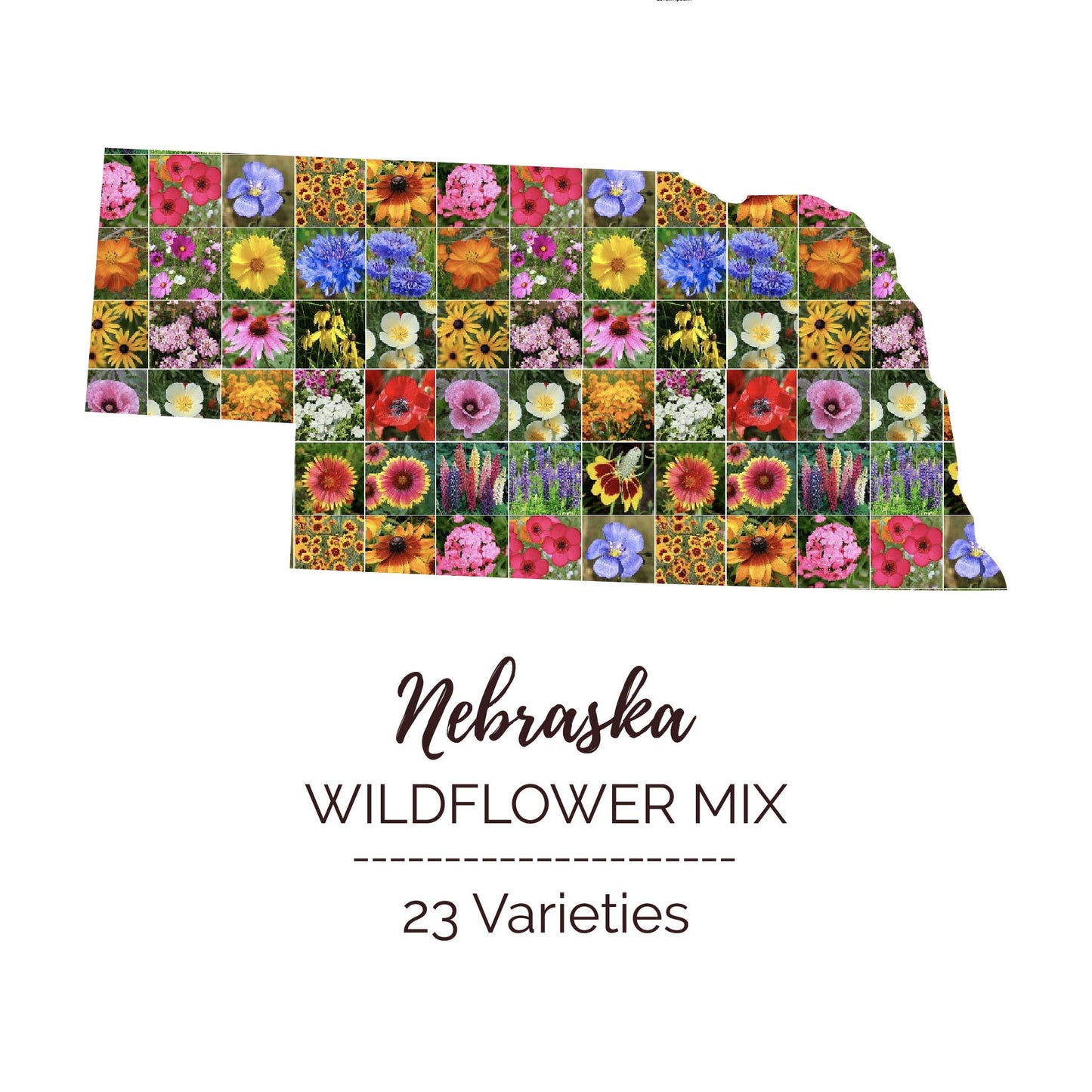 Graphic of the outline of the state for Nebraska Wildflower Seed Mix that contains images of the flowers in the mix