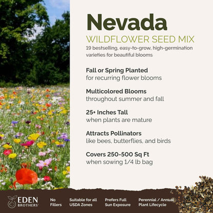 A visual overview of the wildflower seed mix, showcasing expected floral blooms.