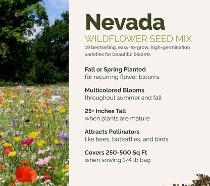 A visual overview of the wildflower seed mix, showcasing expected floral blooms.