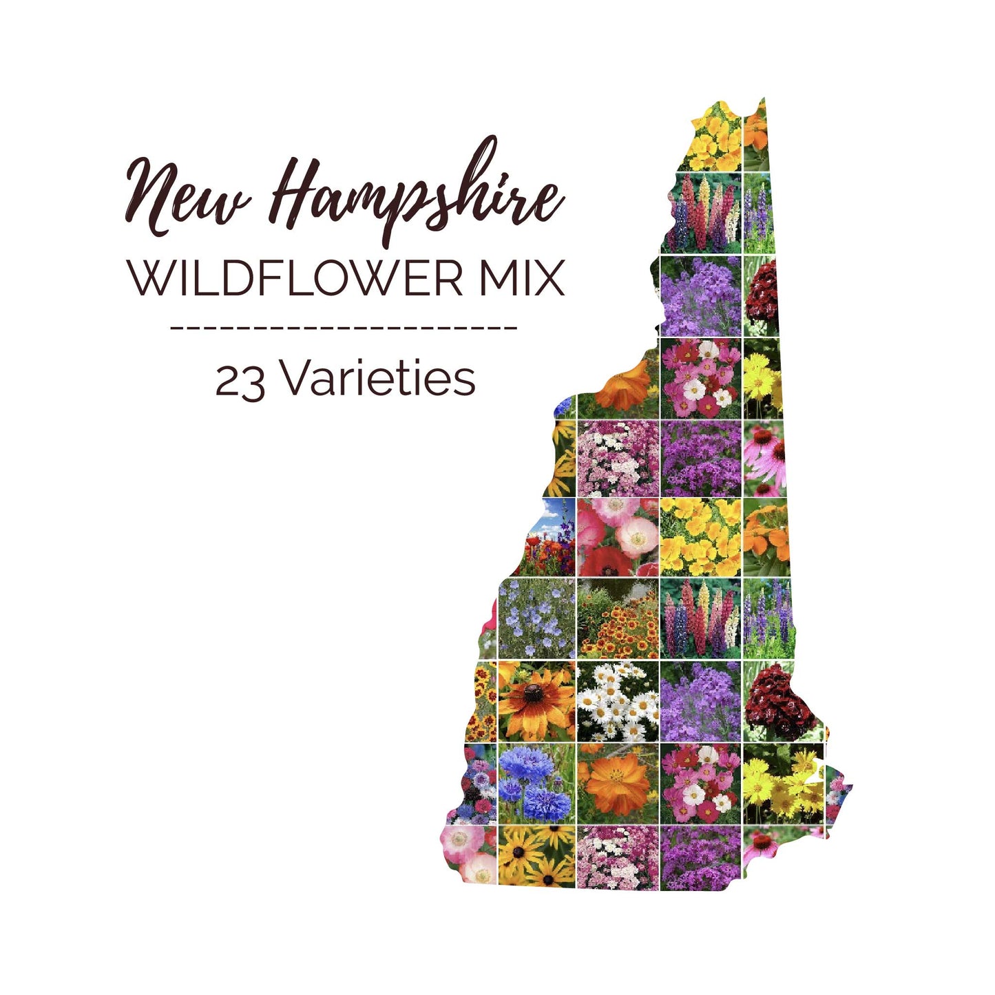 Graphic of the outline of the state for New Hampshire Wildflower Seed Mix that contains images of the flowers in the mix