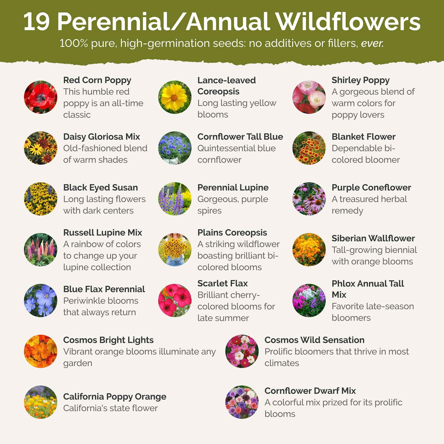 List of flower species and seeds included in the Wildflower Seed Mix.