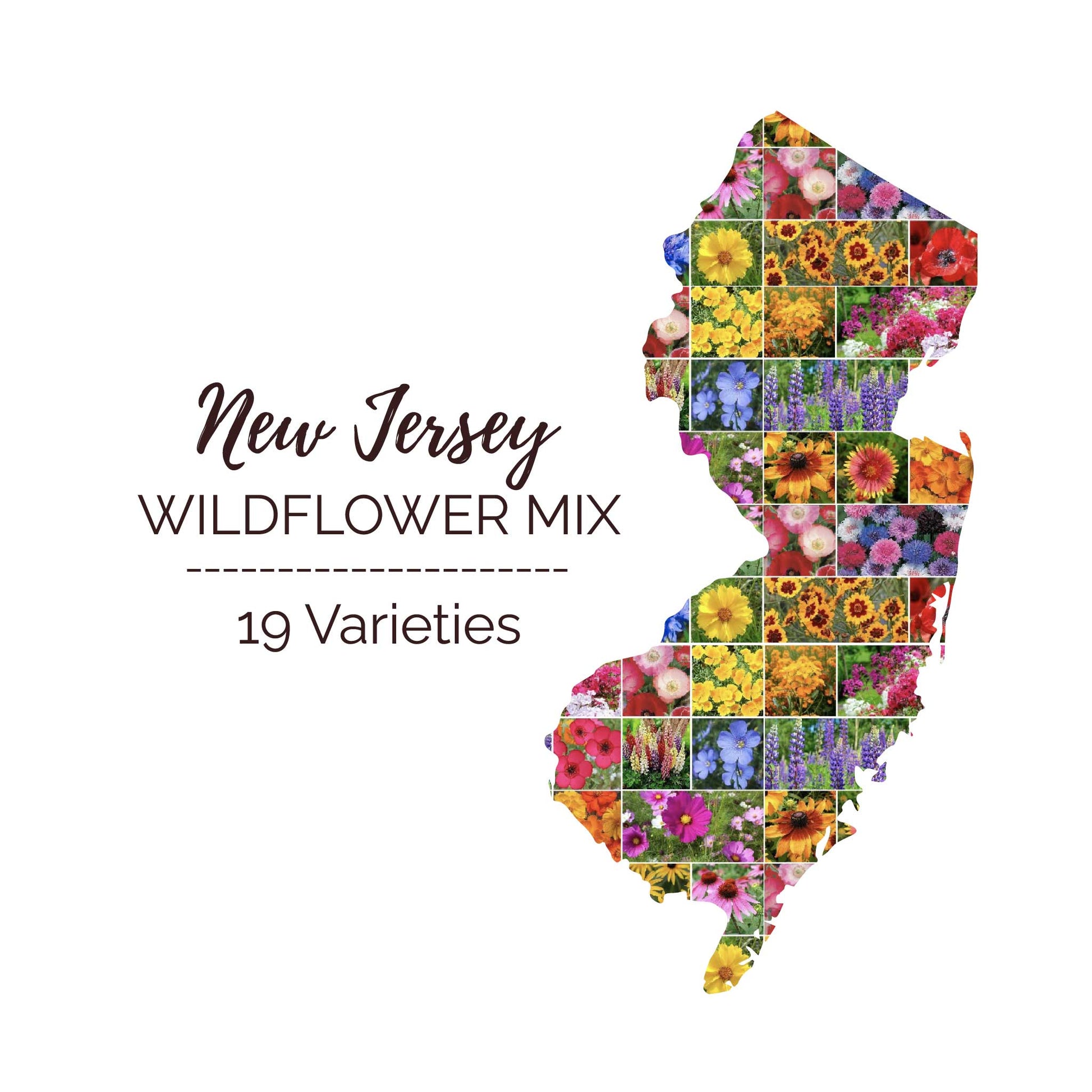 Graphic of the outline of the state for New Jersey Wildflower Seed Mix that contains images of the flowers in the mix