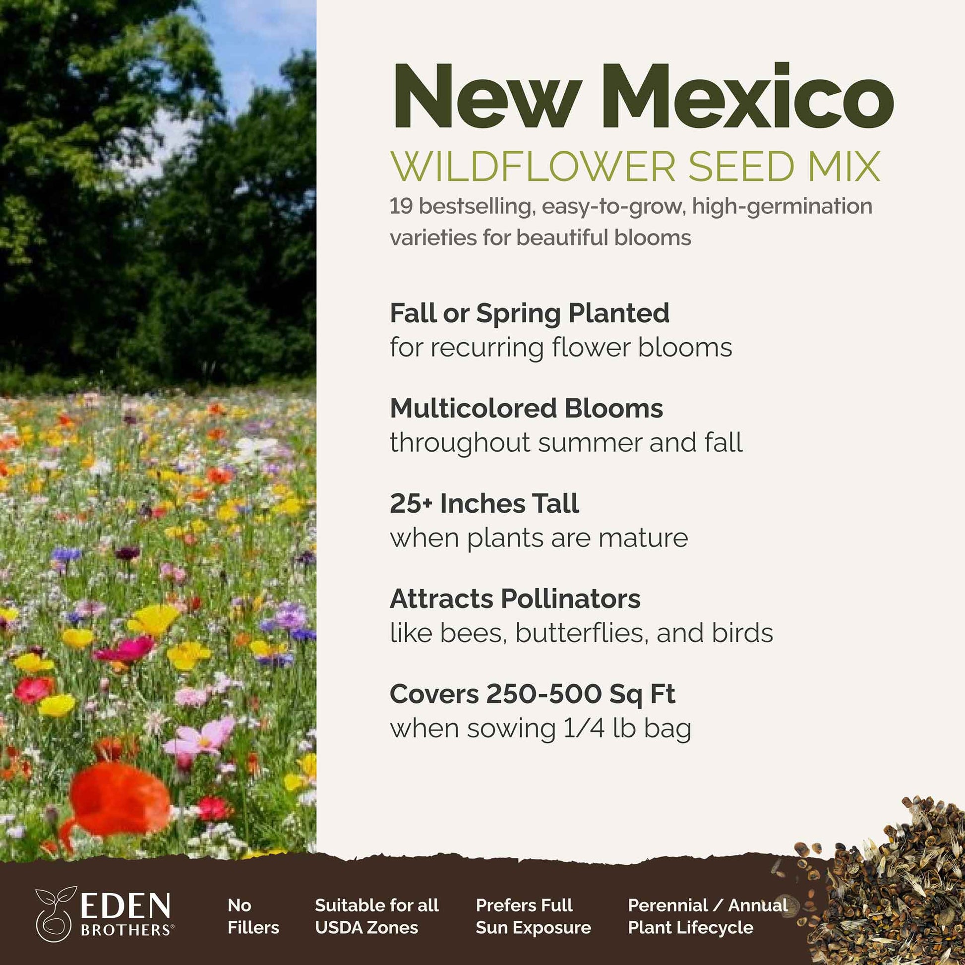 A visual overview of the wildflower seed mix, showcasing expected floral blooms.