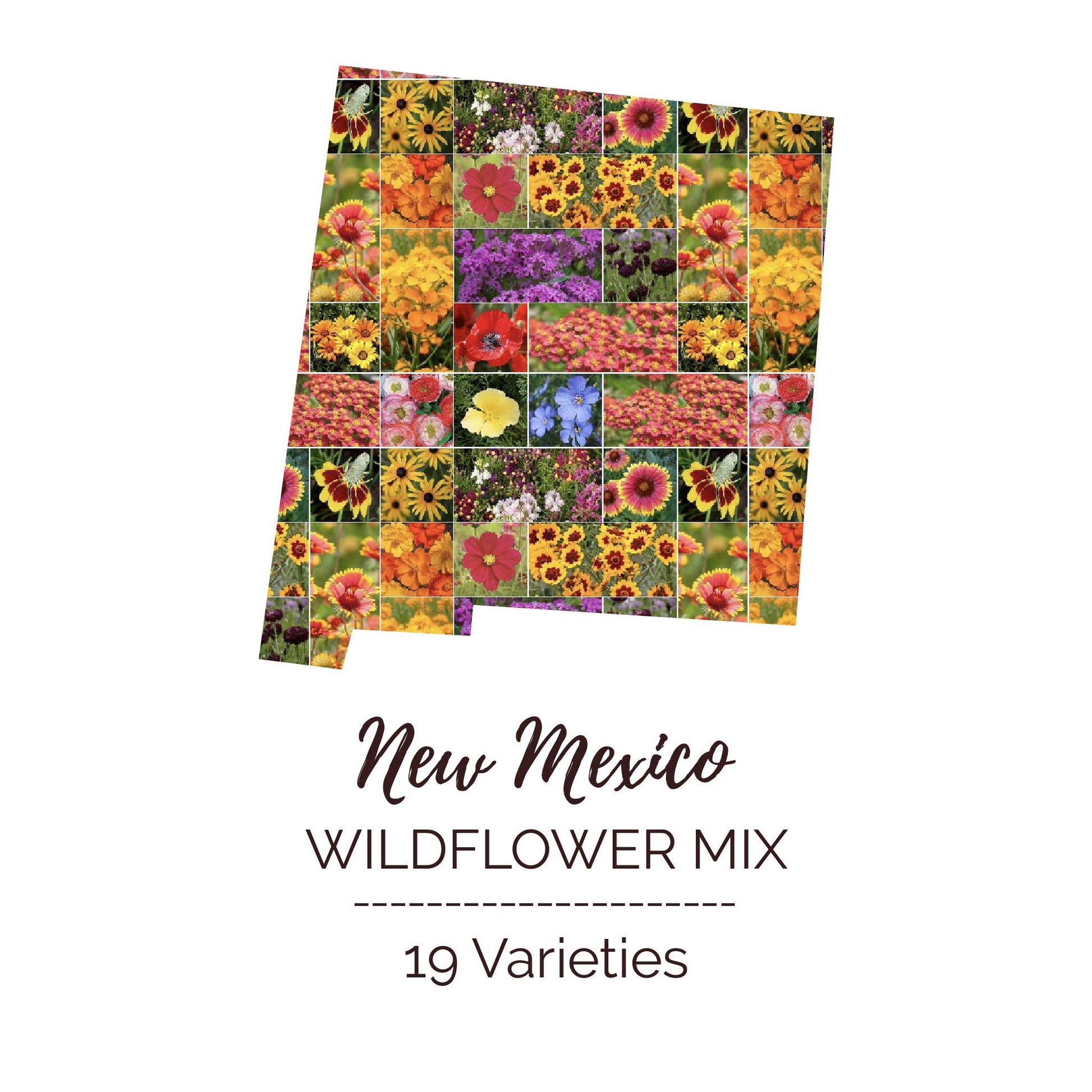 Graphic of the outline of the state for New Mexico Wildflower Seed Mix that contains images of the flowers in the mix