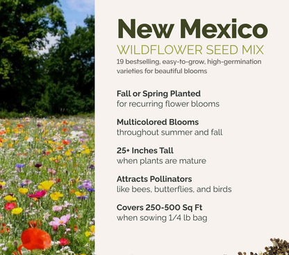 A visual overview of the wildflower seed mix, showcasing expected floral blooms.