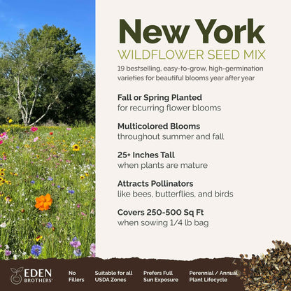 A visual overview of the wildflower seed mix, showcasing expected floral blooms.