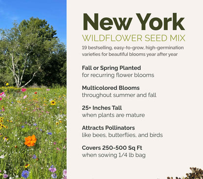 A visual overview of the wildflower seed mix, showcasing expected floral blooms.