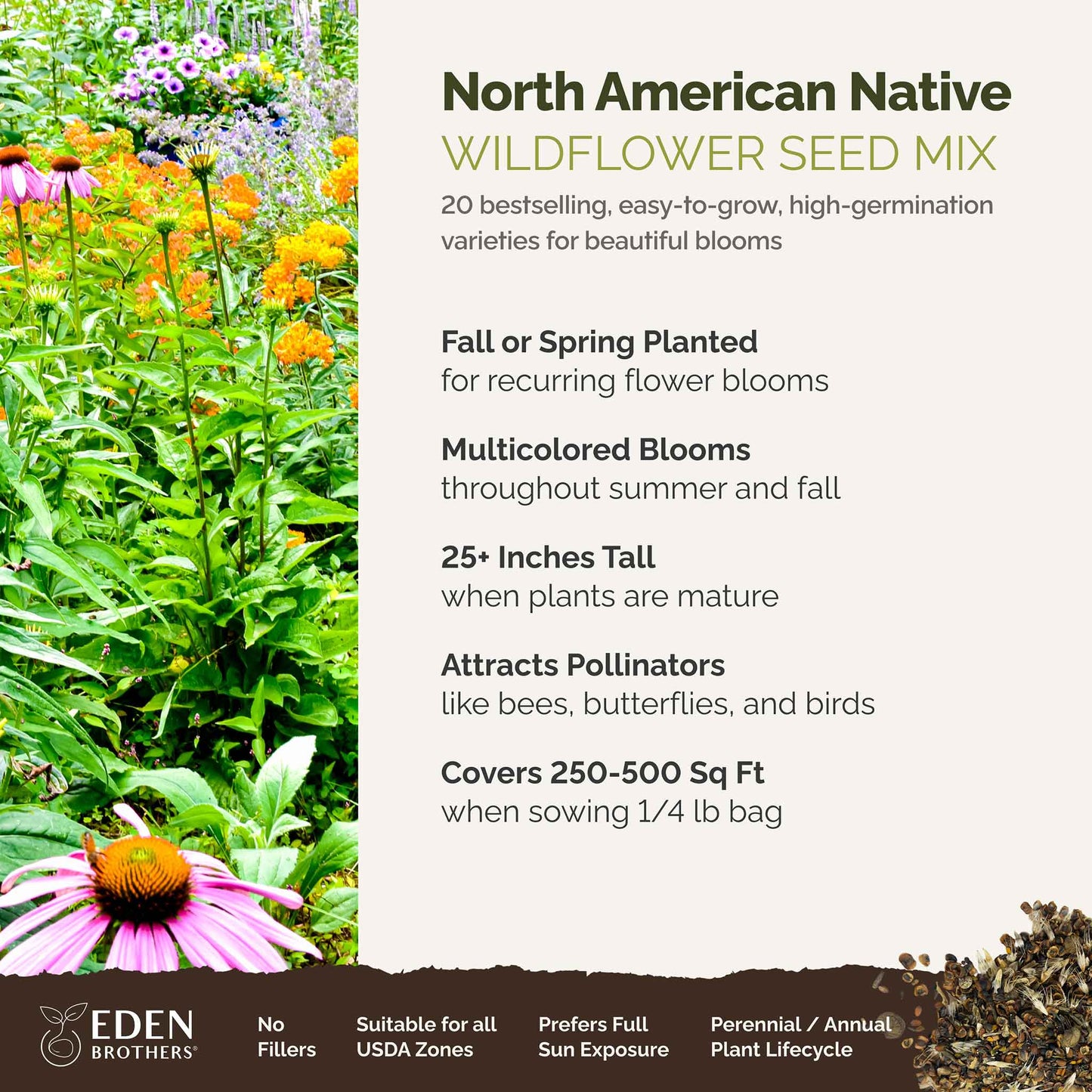 A visual overview of the wildflower seed mix, showcasing expected floral blooms.