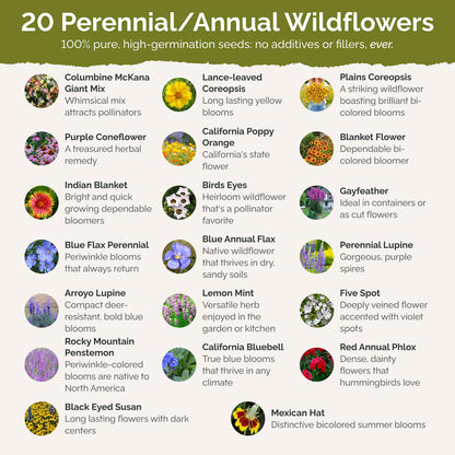 List of flower species and seeds included in the Wildflower Seed Mix.