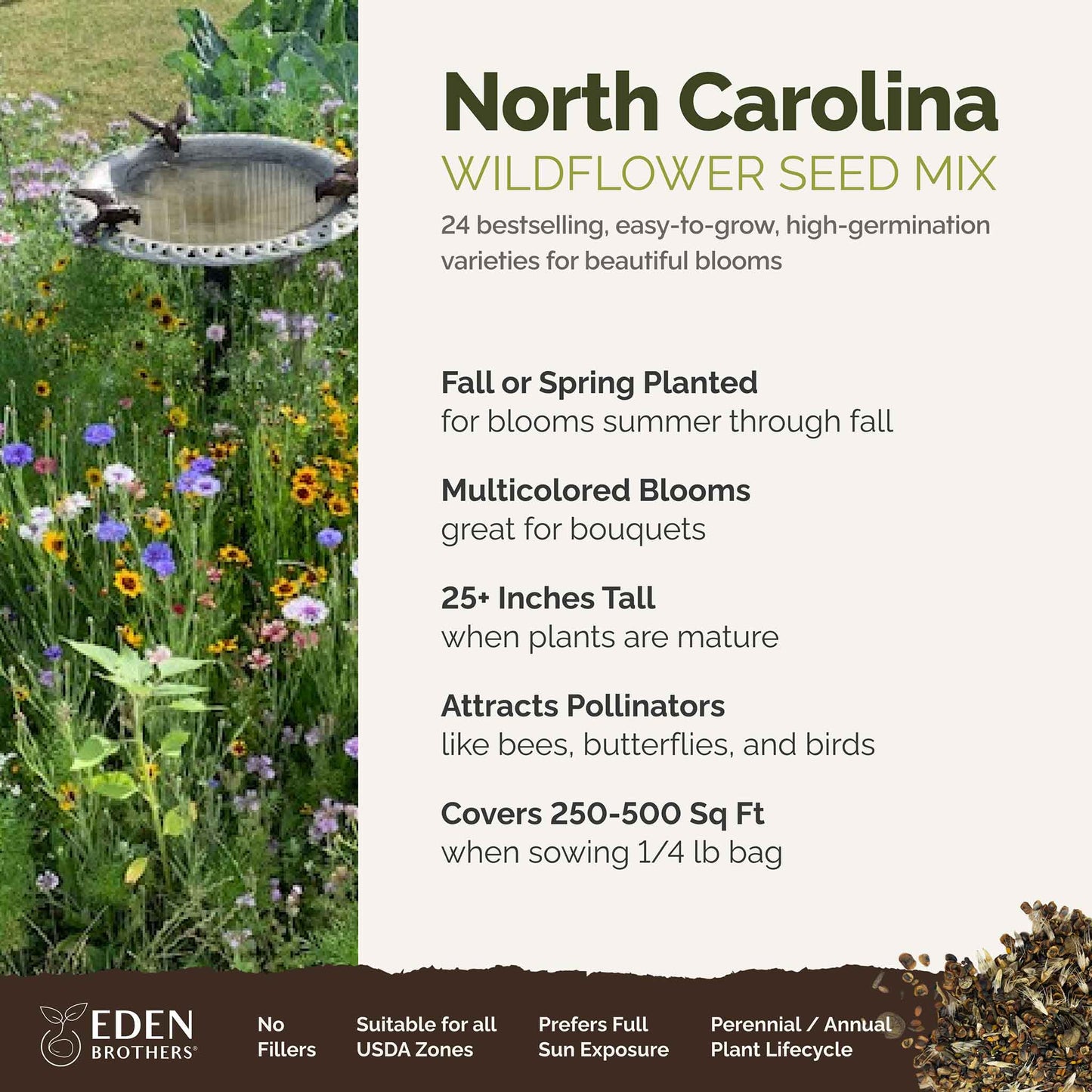 A visual overview of the wildflower seed mix, showcasing expected floral blooms.