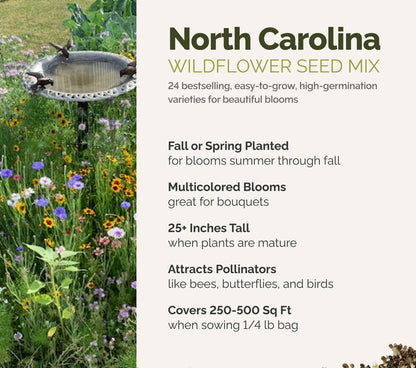A visual overview of the wildflower seed mix, showcasing expected floral blooms.