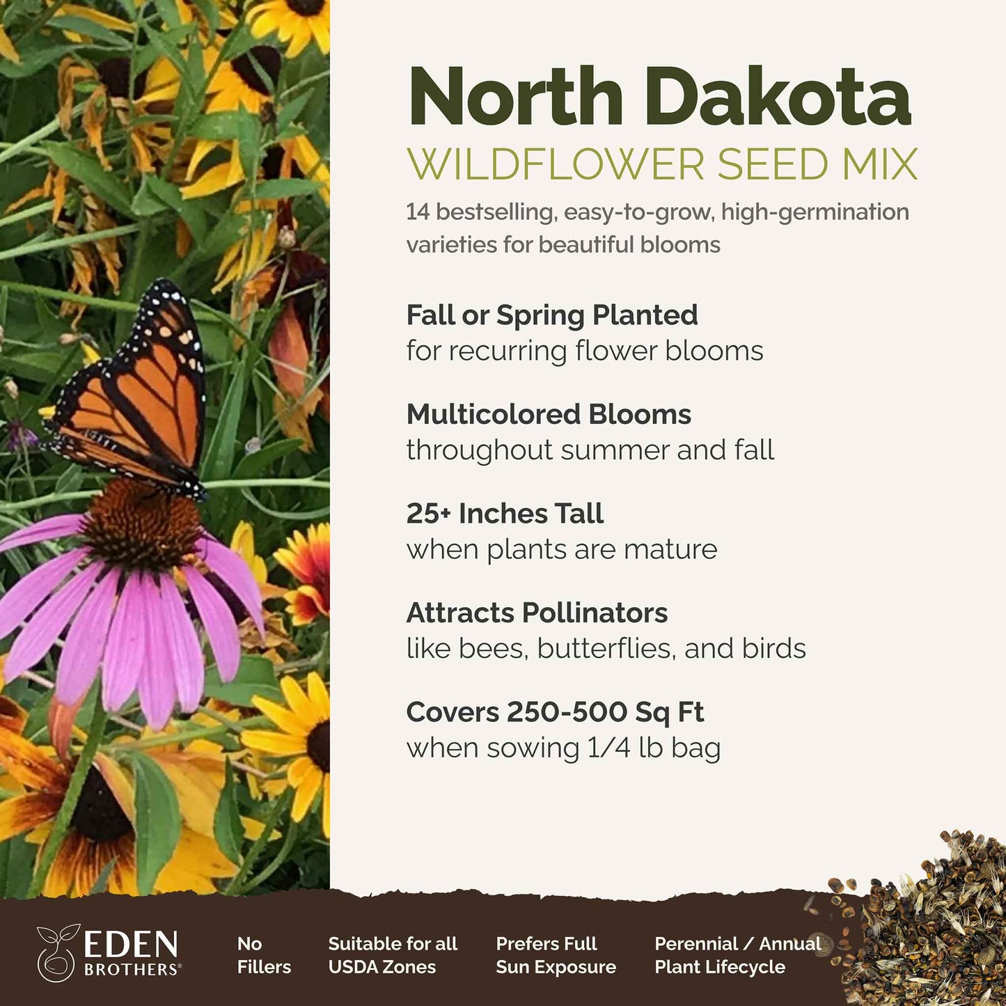 A visual overview of the wildflower seed mix, showcasing expected floral blooms.