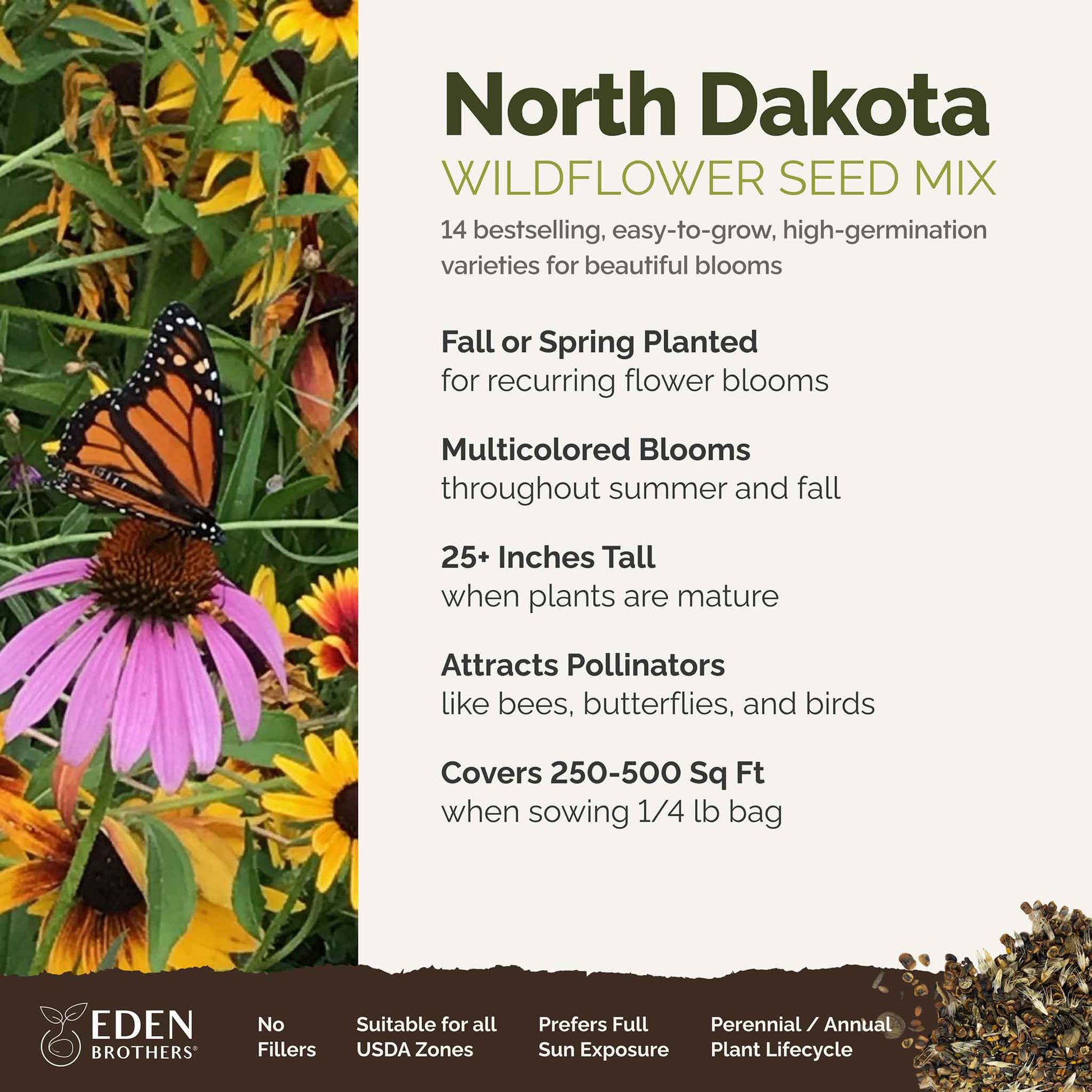 A visual overview of the wildflower seed mix, showcasing expected floral blooms.
