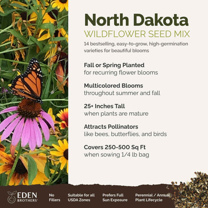 A visual overview of the wildflower seed mix, showcasing expected floral blooms.