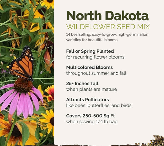 A visual overview of the wildflower seed mix, showcasing expected floral blooms.