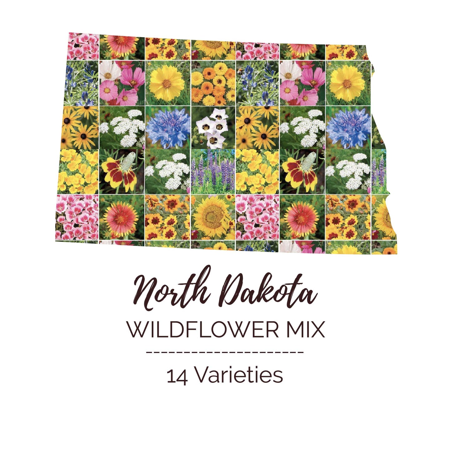 Graphic of the outline of the state for North Dakota Wildflower Seed Mix that contains images of the flowers in the mix