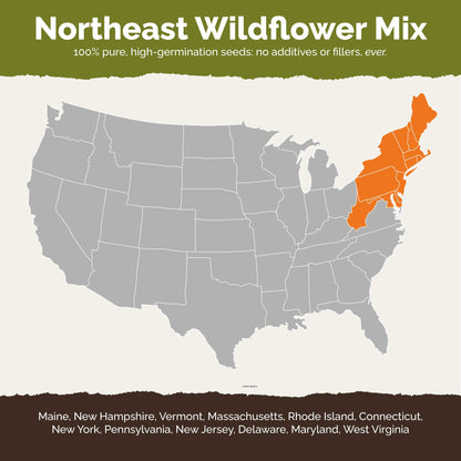 A map of the united states highighting states contained within the northeast region