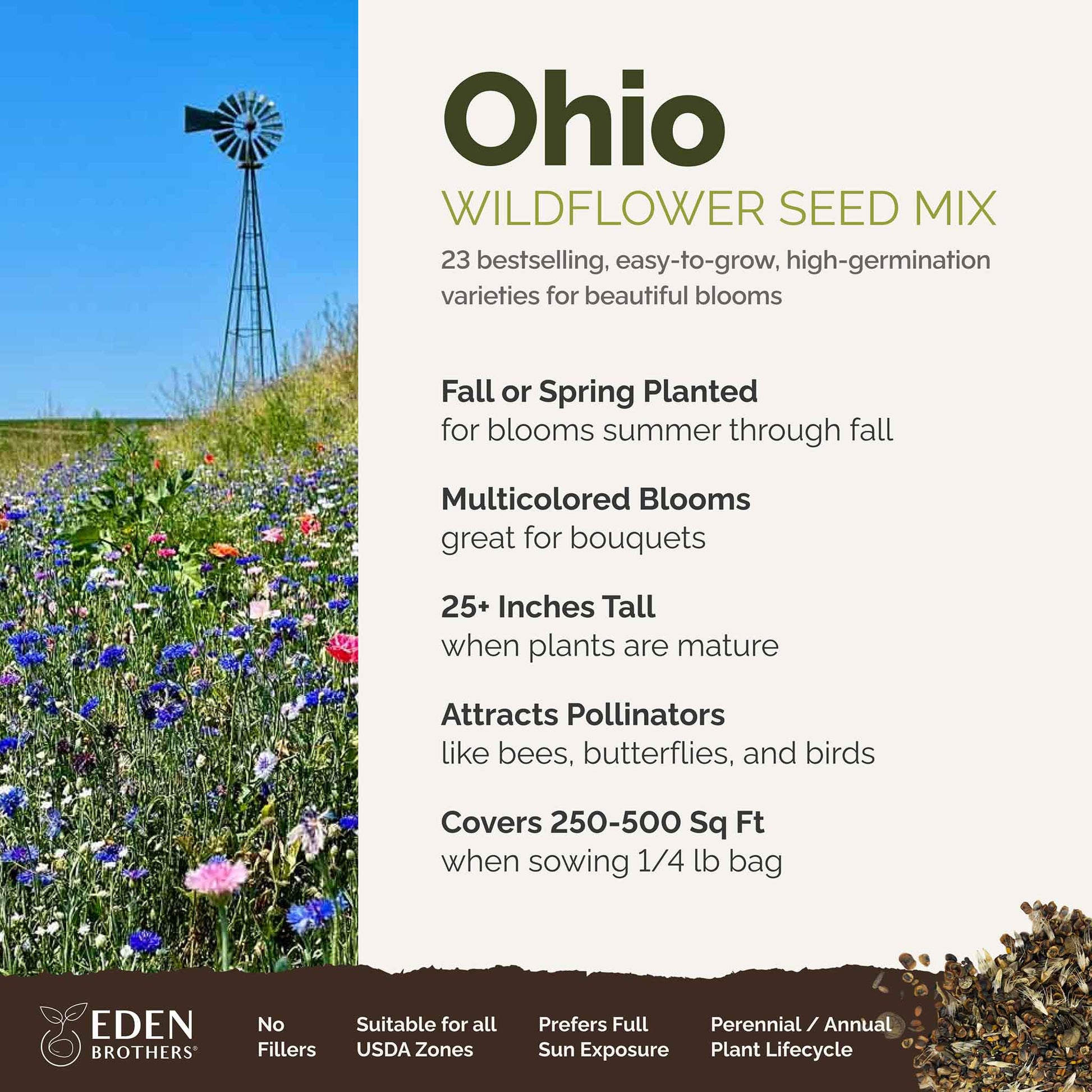 A visual overview of the wildflower seed mix, showcasing expected floral blooms.