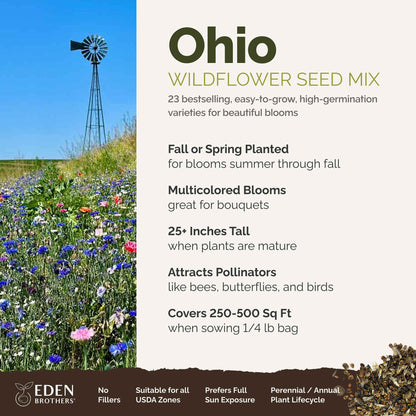 A visual overview of the wildflower seed mix, showcasing expected floral blooms.