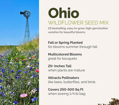 A visual overview of the wildflower seed mix, showcasing expected floral blooms.