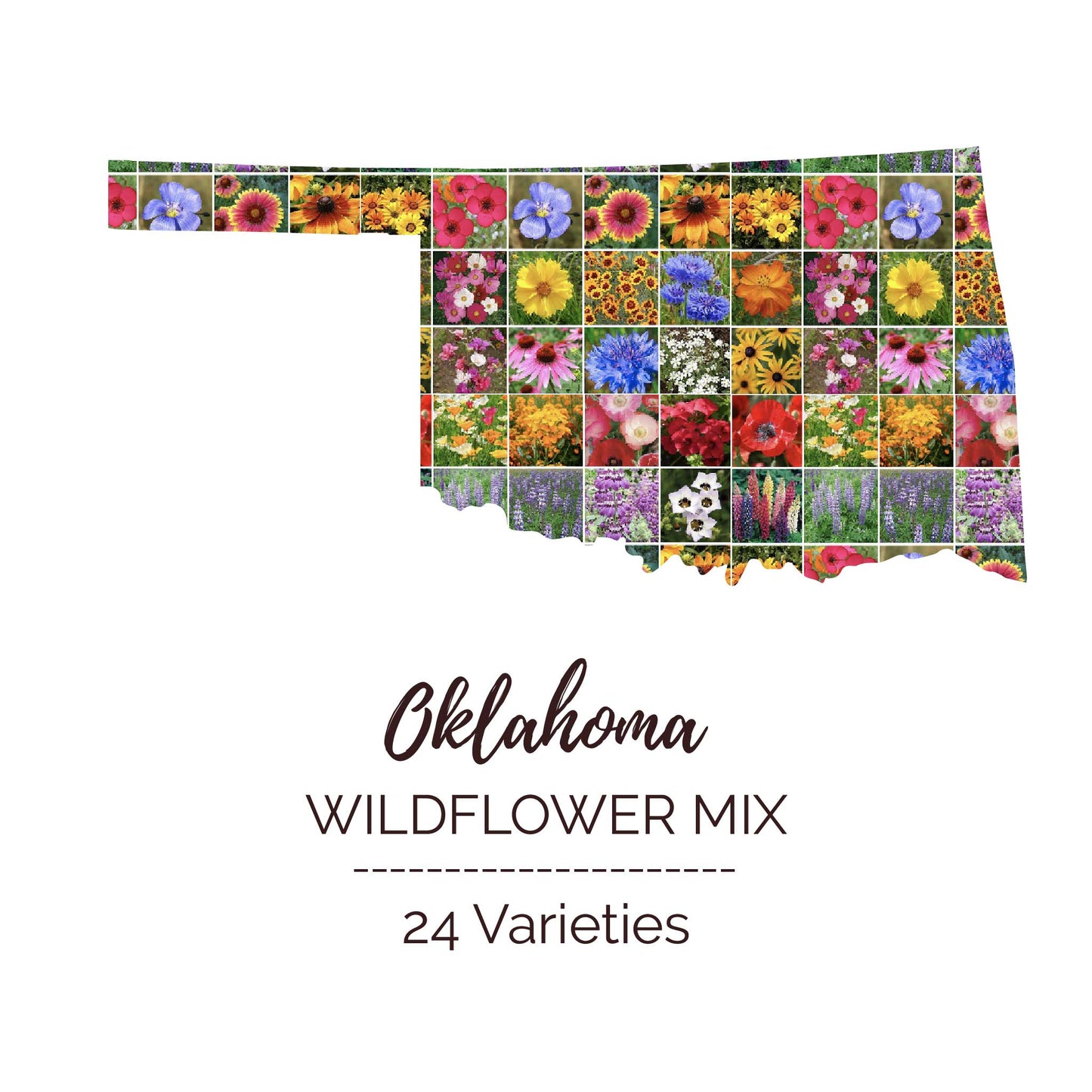 Graphic of the outline of the state for Oklahoma Wildflower Seed Mix that contains images of the flowers in the mix