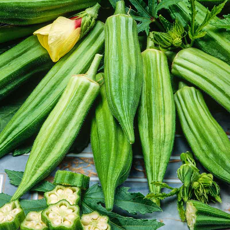 A close-up of vibrant green Clemson Spineless okra pods clustered with sliced okra in front. | copyright: Floramedia UK Ltd