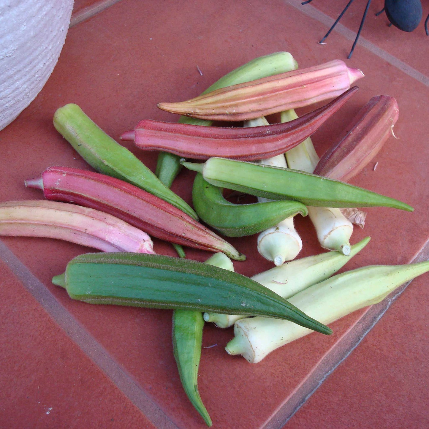 Rainbow Fiesta Okra pods in various vibrant colors, including red, yellow, and green, are scattered on a red surface.