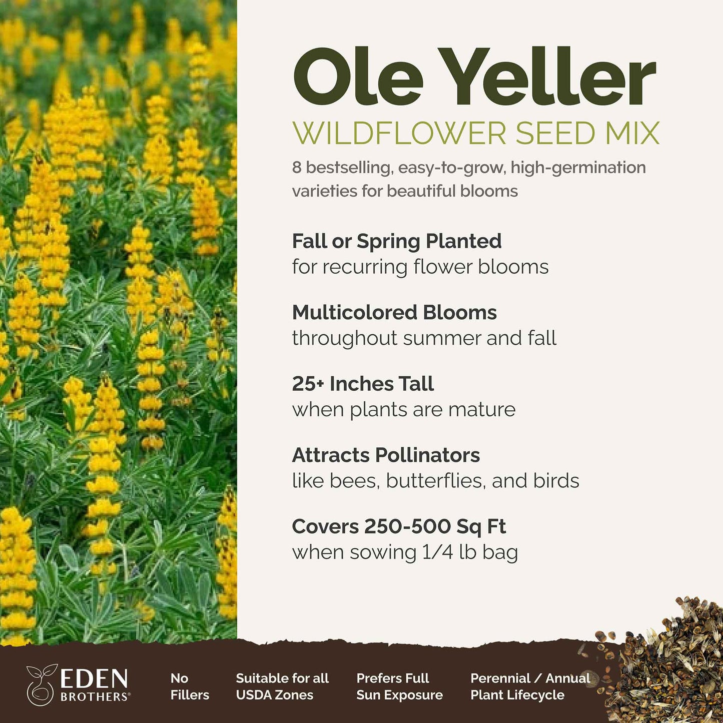 A visual overview of the wildflower seed mix, showcasing expected floral blooms.