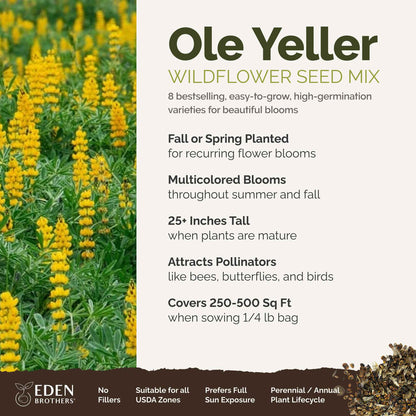 A visual overview of the wildflower seed mix, showcasing expected floral blooms.