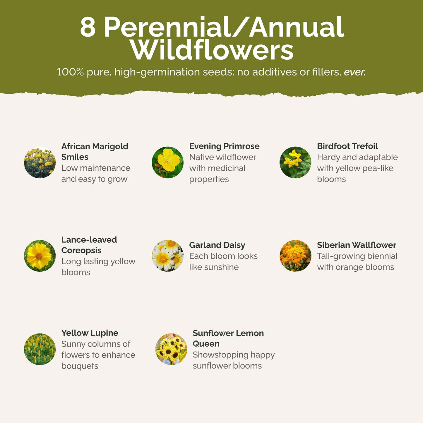 List of flower species and seeds included in the Wildflower Seed Mix.