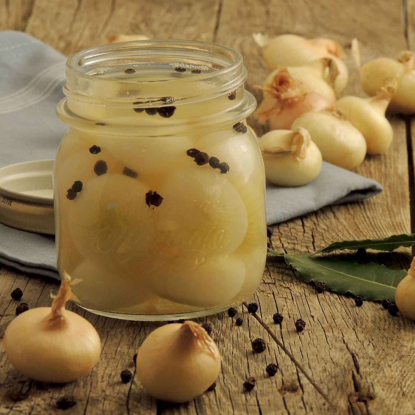A jar of Cipollini Yellow onions being pickled.
