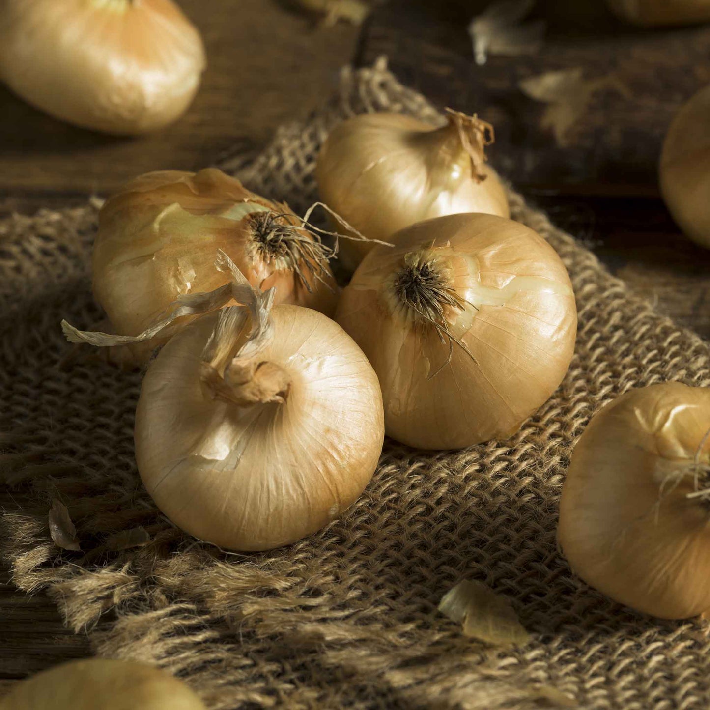 A close-up shot of small, flat, yellow cipollini onions with their skins on, scattered on a surface.