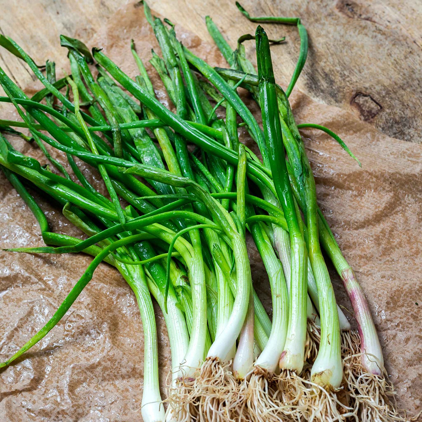 A cluster of Heshiko Onion is shown with its white bulb and green stalks.
