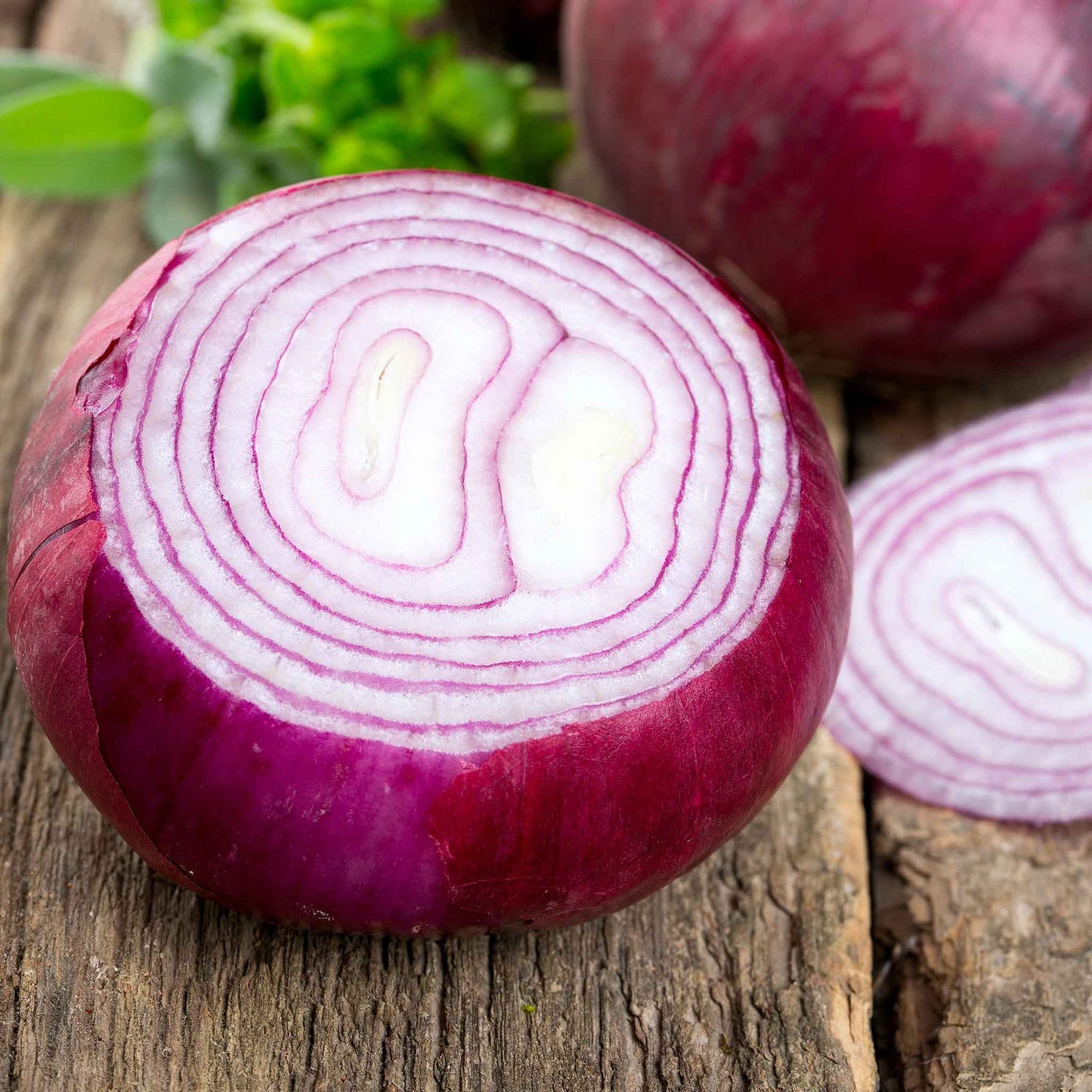 A single, round red Burgundy onion with a papery skin white and red ringed interior.