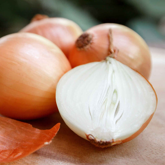 A close-up shot of several large, yellow sweet Spanish onions, showcasing their golden-brown skin and round shape.
