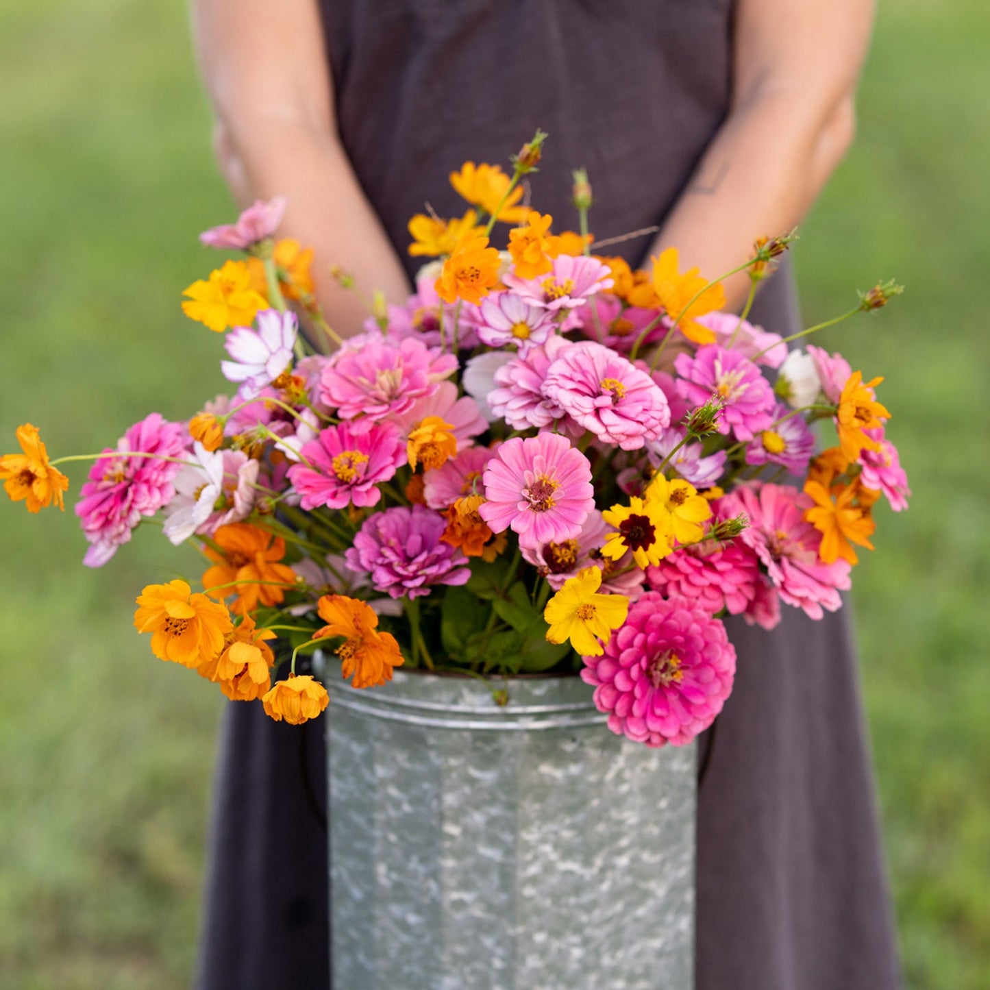 A bouquet of the variety of colors in the Orange Sherbet Flower Seed Mix