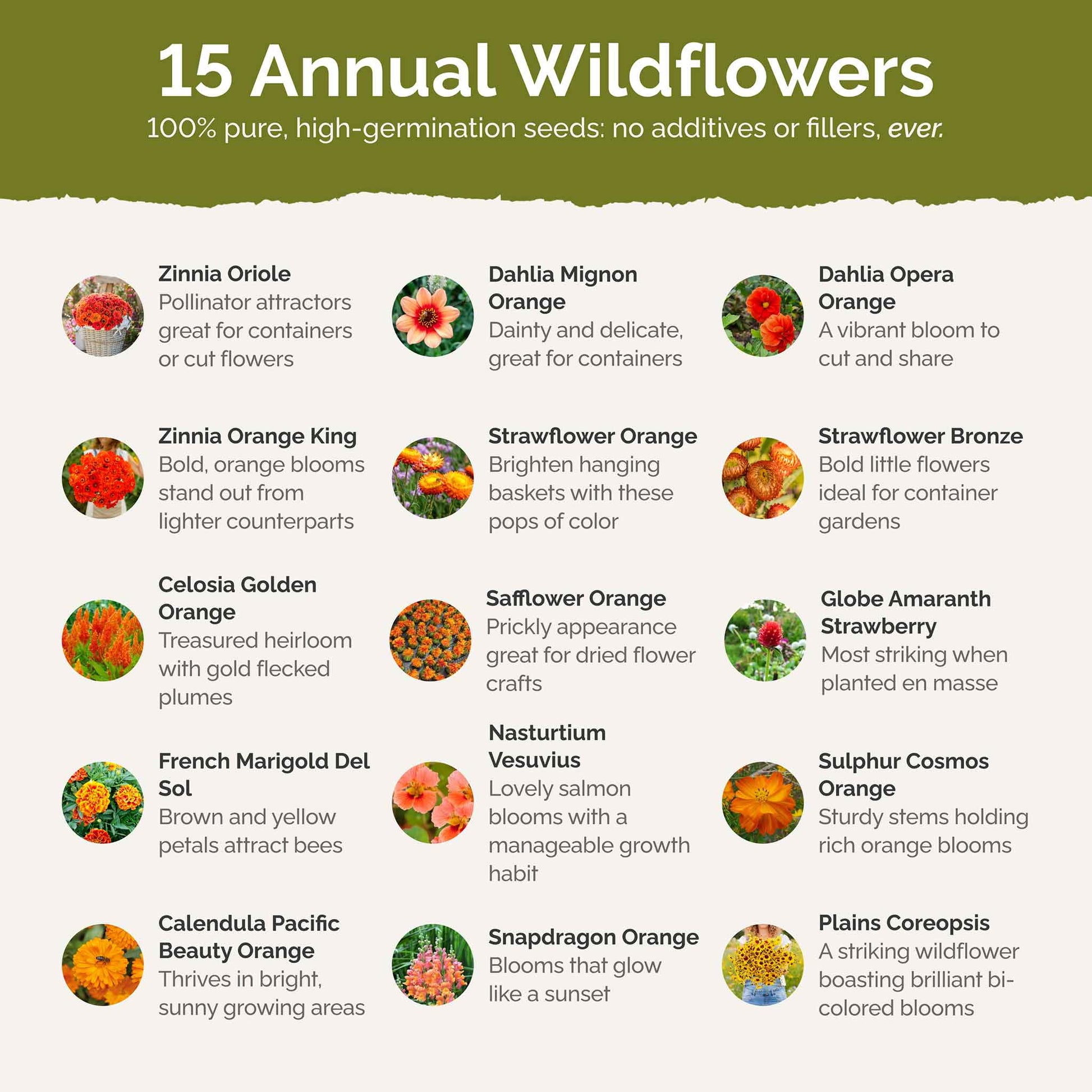 List of flower species and seeds included in the Wildflower Seed Mix.