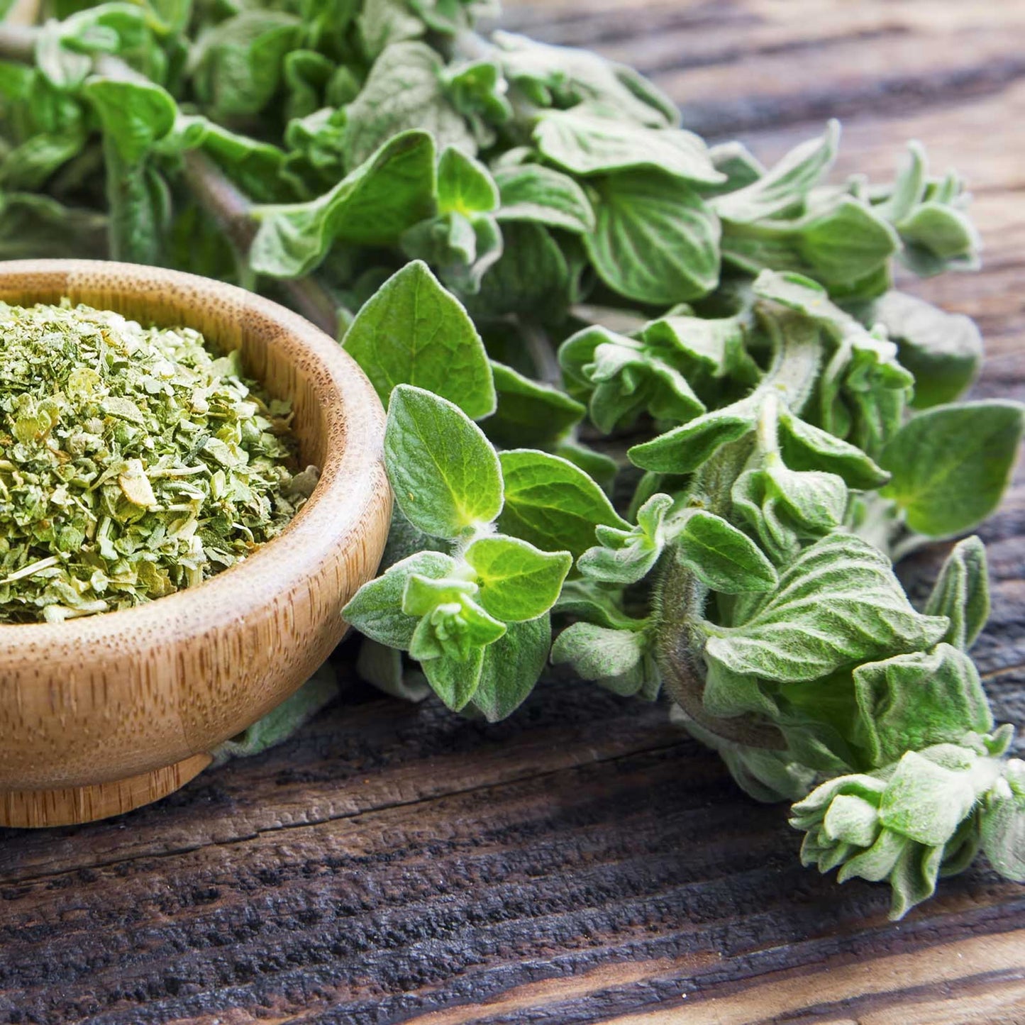 Green oregano stems lay on a table next to a bowl of dried oregano leaves.