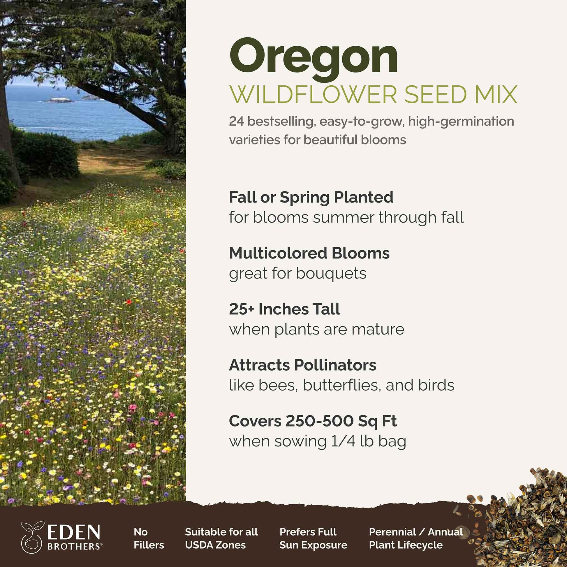 A visual overview of the wildflower seed mix, showcasing expected floral blooms.