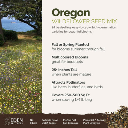 A visual overview of the wildflower seed mix, showcasing expected floral blooms.